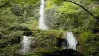 DONDE VIVES MAESTRO - HERMANA GLENDA