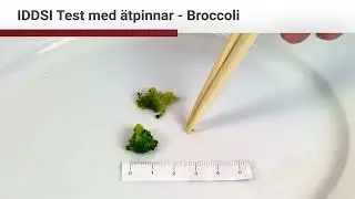 Level 6 Soft & Bite Sized (Swedish)