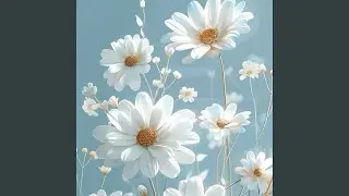 Miracle