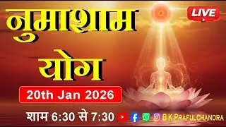 LIVE 🔴 नुमाशाम योग | Numasham Yog | 20-1-26 #numashamyog