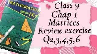 Class 9 Maths | Chapter 1 Matrices | Review Exercise Q2,3,4,5,6 | Complete Solutions ✅📘