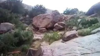 www.tafrawt.webs.com