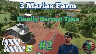 Harvesting the Rice on 3 Marias Farm #fs25