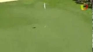 Golfista acerta tacada perfeita nos Estados Unidos   Terra