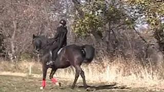 Joann Williams in costume riding Kosmic - 102110 - Halloween Themed Music