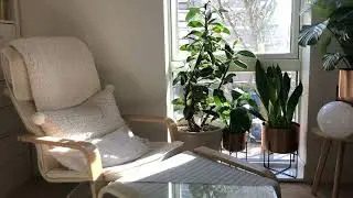 런던 자취생 일상, 단비의 런던 일상 브이로그, Korean girl's daily life in London, Everyday vlog