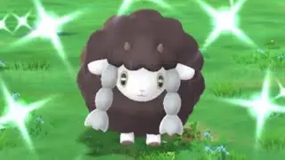 Shiny Wooloo Spotlight Hour!