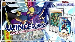 Yugioh MASTER DUEL | Monster Type Festival BEST Winged Beast DECKS - Assault Blackwing | 遊戯王マスターデュエル