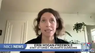 Federal court voids Forest Service loophole for large scale logging