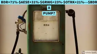 New Video-$BDR+71%-$AESE+31%-$GRWG+23%-$OTRK+21%---$BDR A PUMP?