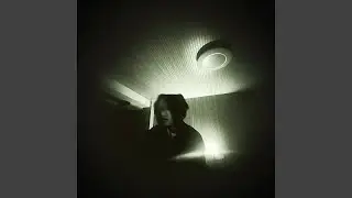 Spotilight luv