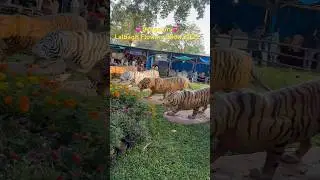 Lalbagh Flowers Show 2025  #lalbag #park #flowershow #minivlog #youtubeshorts #bengaluru #karnataka