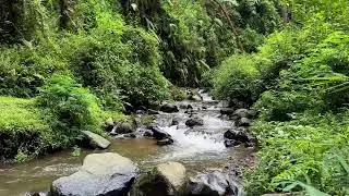 Stay deeply relaxed with peaceful river ambience around soft flowing water aiding long deep sleep