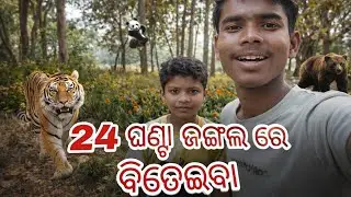  24 ଘଣ୍ଟା ଜଙ୍ଗଲ ବିତାଇବା 