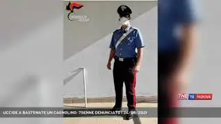 UCCIDE A BASTONATE UN CAGNOLINO: 75ENNE DENUNCIATO | 24/08/2021