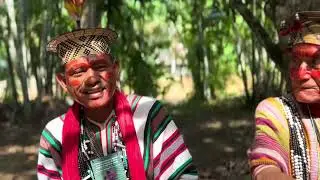 Povo ASHANINKA - 