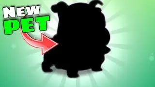 Silly Royale New Update ! Silly Pets are Here ! @BattleStarsOfficial