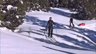 Vercors ski pulka
