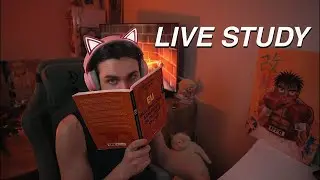 LIVE | 4-HOUR Study With Me 📚🌧 Rain Sounds &bull; Pomodoro 50/10