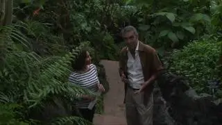 Invitacion al dia de los jardines botanicos