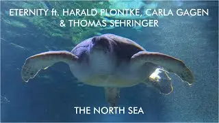 Eternity ft. Harald Plontke, Carla Gagen & Thomas Sehringer - The North Sea (#progressiverock)