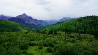 Coloradical Adventures
