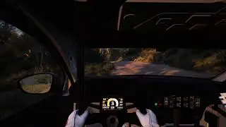 Lol;) EA SPORTS rally HARDCORE RACER