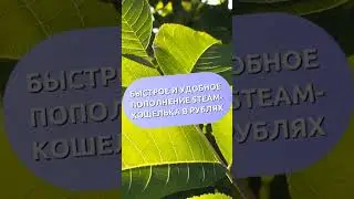 Простое и легкое пополнение Steam кошелька в рублях