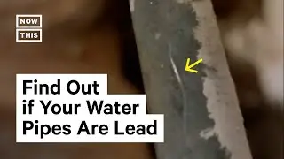 How to Check Your Home for Lead Pipes | #Shorts