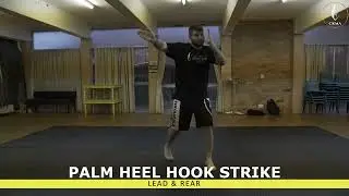 Palm Heel Hook