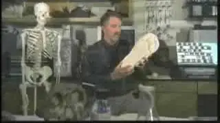 Bigfoot Footprints: Can they be Hoaxed?