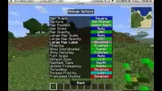 reis minimap mod installation