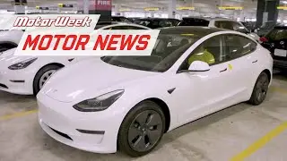 Hertz to add 100,000 Teslas to Rental Fleet | MotorWeek Motor News
