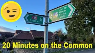 20 Minutes Of Beautiful Footage Of Chorleywood Common In 4k @paulcruse #walks #walking