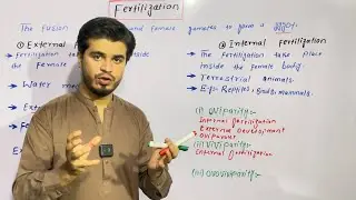 Fertilization | Internal fertilization and External fertilization | by najeeb kakar