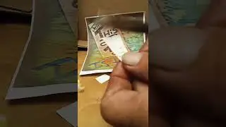 cutting a flower identification label #flowers #cutting #shorts #cut