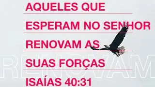 Isaías 40:31 #renovaçãoespiritual #amordedeus #graça #graçadedeus #gratidão #salvo #arrependimento