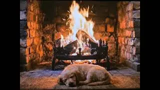 A small dog lulled to sleep by the gentle crackle of the fire.