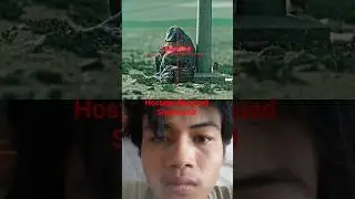 Hostages Rescued. Enemy Obliterated💀#shortvideo #movie
