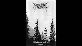 Setherial - A Hail to the Faceless Angels (Full Demo)