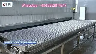 Process in Action - From #IQF Freezing to Glazing and Refreezing #cbfi 