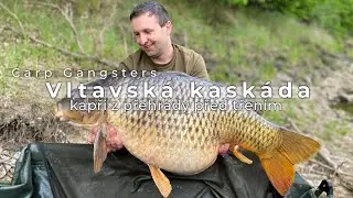 Vltavská kaskáda - kapři z přehrady před třením