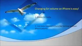 Tips to change Siri's volume on iPhone 4S or iPhone 5