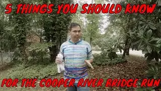 5 Things To Know About the Cooper River Bridge Run Before You Sign Up
