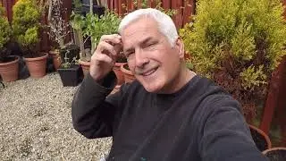 How to sterilise the water system in the Caravan. Caravan Restoration Part 7.