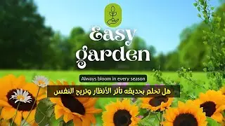 إيزي جاردن الكويت: خبراء تنسيق الحدائق وتحويل المساحات إلى تحف فنية 🌿