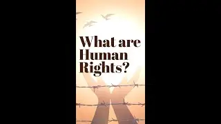 What are Human Rights?