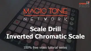 Scale Drill - Inverted Chromatic Scale #MTN017