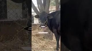 Weather report #reels  #explore #foryou #reels #minivlog #vlog #funny