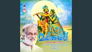 Ani Vakacharthil
